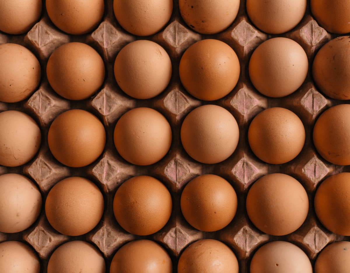 Organic Chicken Eggs