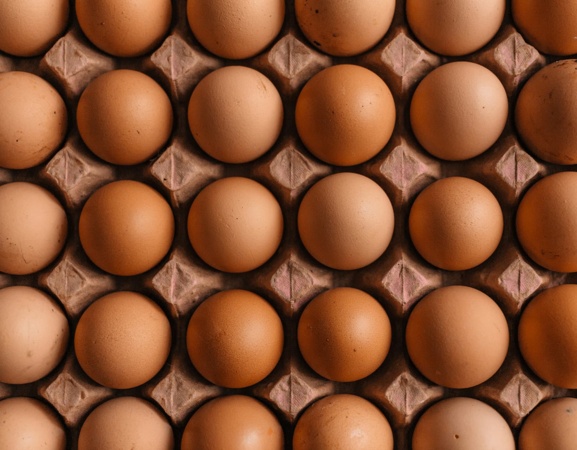 Organic Chicken Eggs